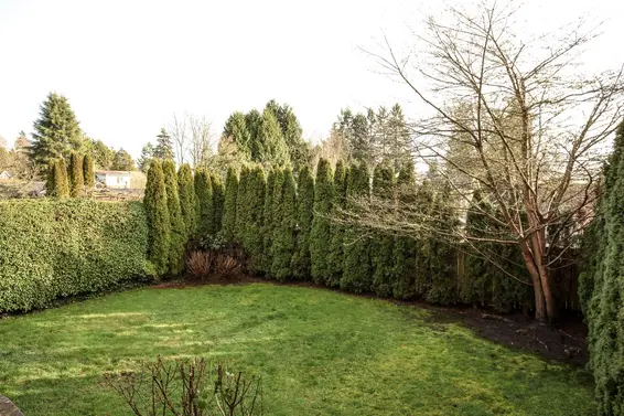 141 East Windsor Road, North Vancouver For Sale - image 29