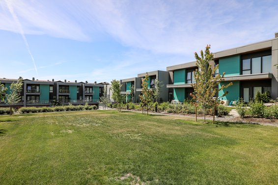 Seymour Village Phase 1 - 3595 Salal Drive | Townhomes For Sale + Alerts