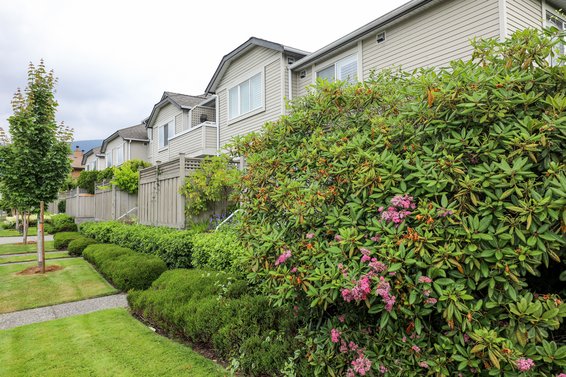 Chesterfield Court - 1818 Chesterfield | Townhomes For Sale + Alerts