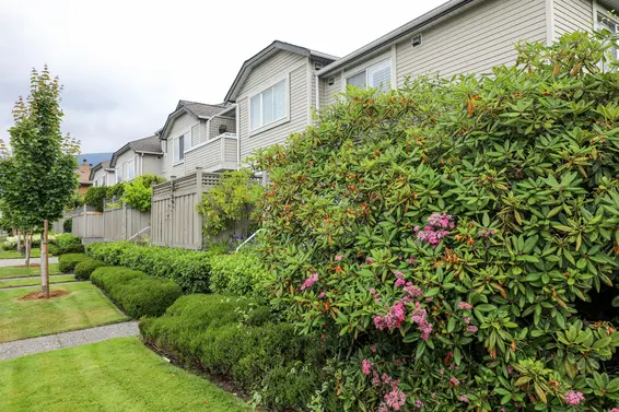 Chesterfield Court - 1818 Chesterfield | Townhomes For Sale + Alerts  