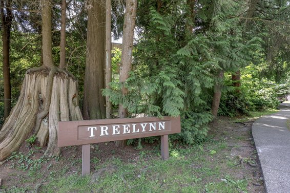 Treelynn - 2640 Fromme | Condos For Sale + New Listing Alerts
