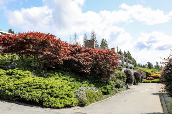 Panorama Village - 2216 Folkestone | Townhomes For Sale + Listing Alerts