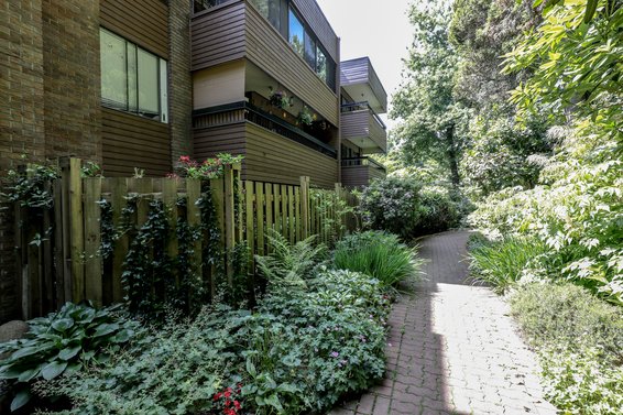 Treelynn - 2640 Fromme | Condos For Sale + New Listing Alerts