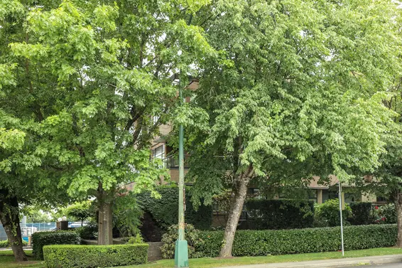 Chesterfield Place - 1702 Chesterfield | Condos For Sale + Listing Alerts  