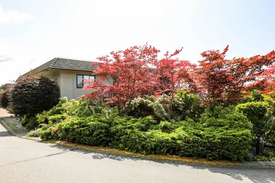 Panorama Village - 2214 Folkestone | Townhomes For Sale + Listing Alerts  
