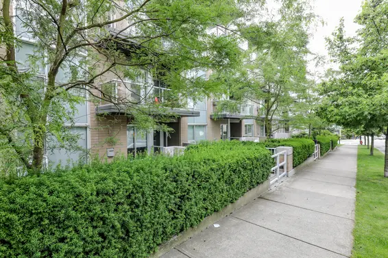 Alina - 1288 Chesterfield Ave | Condos/Townhomes For Sale + Alerts  