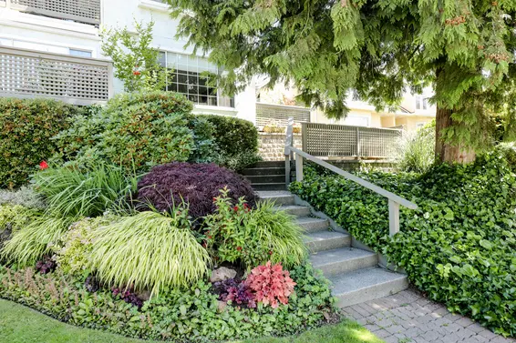 Jeffrey Court - 232 E 6th St | Townhomes For Sale + Listing Alerts  