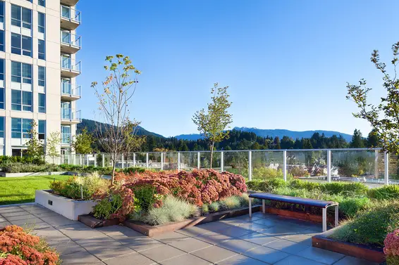 Local on Lonsdale - 135 West 17th Street | Common Roof  