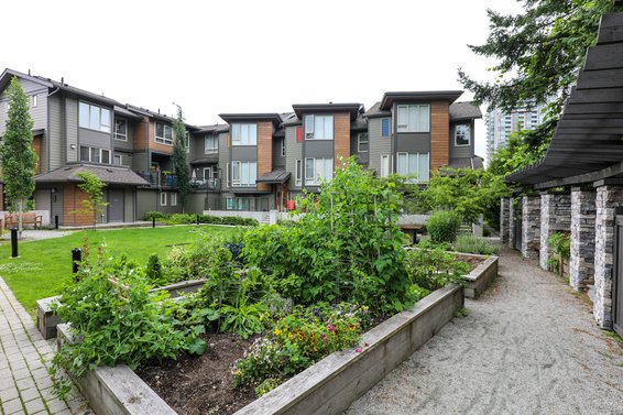 Connect at Nature's Edge - 757 Orwell | Townhomes For Sale + Alerts