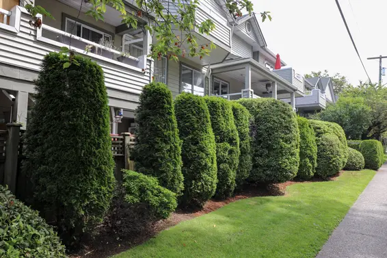 Hamilton Court - 828 W 16th St | Townhomes For Sale + Listing Alerts  
