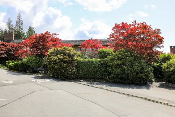 Panorama Village - 2214 Folkestone | Townhomes For Sale + Listing Alerts  