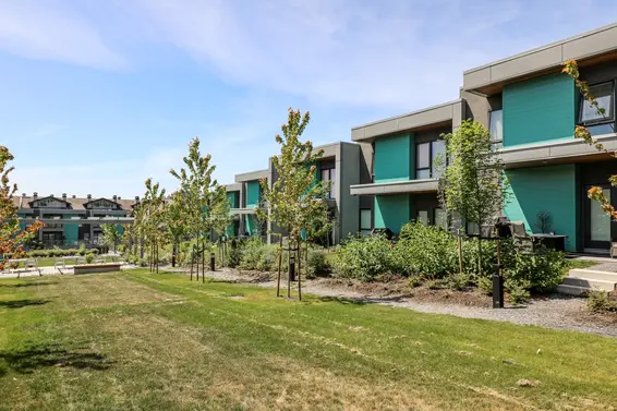 Seymour Village Phase 1 - 3595 Salal Drive | Townhomes For Sale + Alerts  