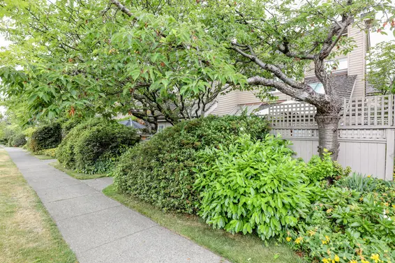 Lamplighter - 230 W 15th St | Townhomes For Sale + Listing Alerts  