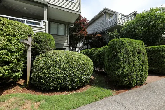 828 West 16th Street, North Vancouver