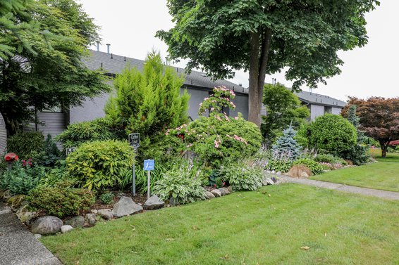 Carlton Court - 225 W 14th St | Townhomes For Sale + Alerts