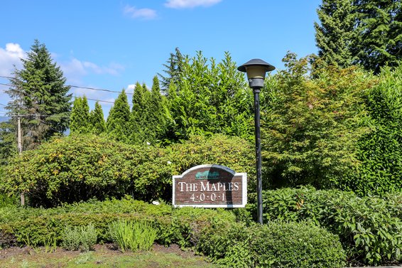 The Maples - 4001 Mt Seymour Pkwy | Townhomes For Sale + Alerts