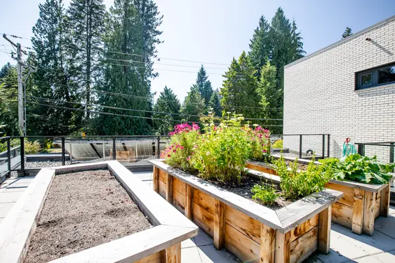 Edgemont Living - 3730 Edgemont Blvd | Townhomes For Sale + Alerts  