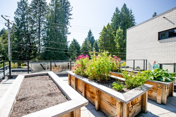 Edgemont Living - 3730 Edgemont Blvd | Townhomes For Sale + Alerts