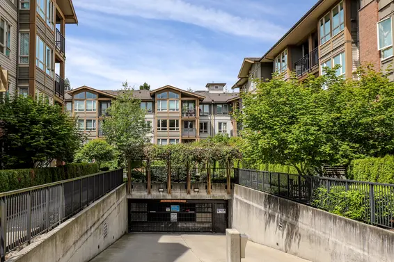 Branches - 2601 Whiteley | Condos For Sale + New Listing Alerts  