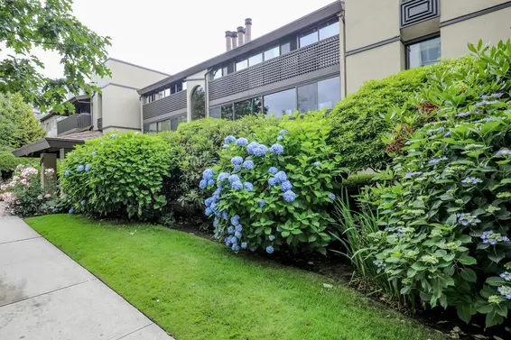 Tremor House - 141 W 13th St | Condos For Sale + Alerts  