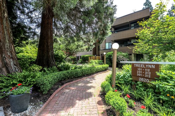Treelynn - 2620 Fromme | Condos For Sale + New Listing Alerts