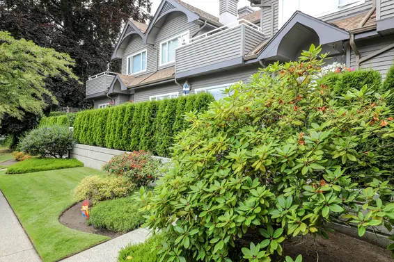 Easthill II - 250 East 11th Street | Townhomes For Sale + Listing Alerts  