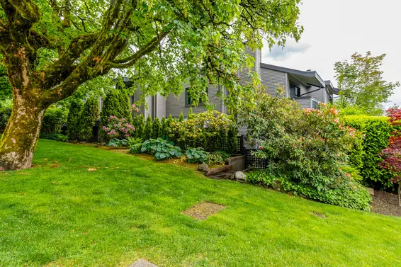 3120-3142 Lonsdale Avenue, North Vancouver For Sale - image 4