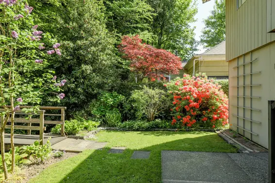 Backyard - 3490 Institute Road  