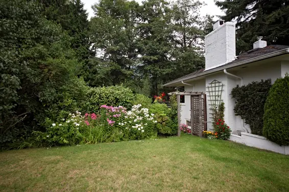 Front Yard  