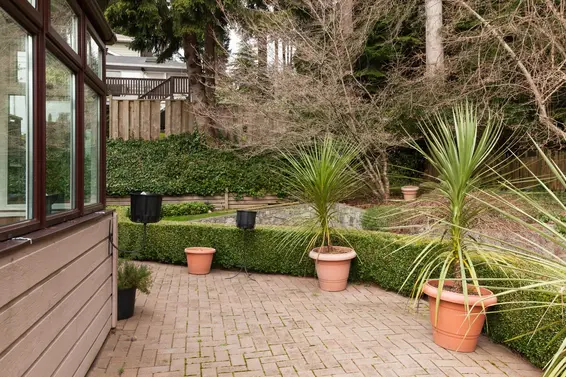 Yard  