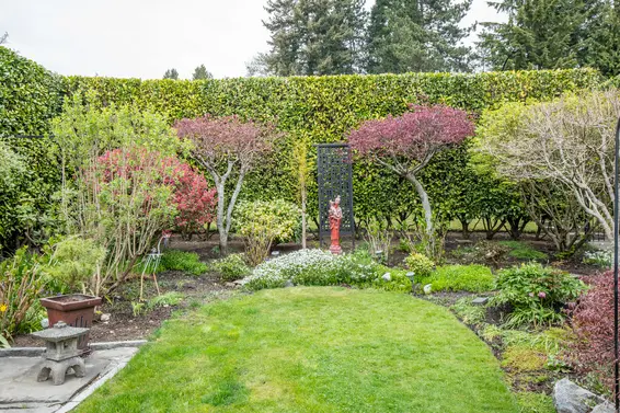 515 E 19th Street, North Vancouver - front yard 2  