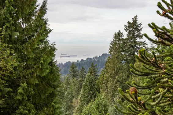 491 Monteray Avenue, North Vancouver For Sale - image 33