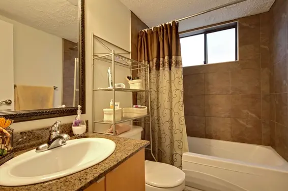 Suite Bathroom  