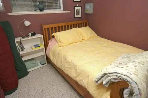 Downstairs Bedroom  