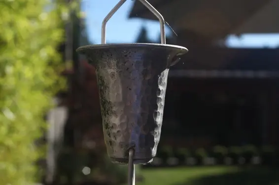 Rain catcher  