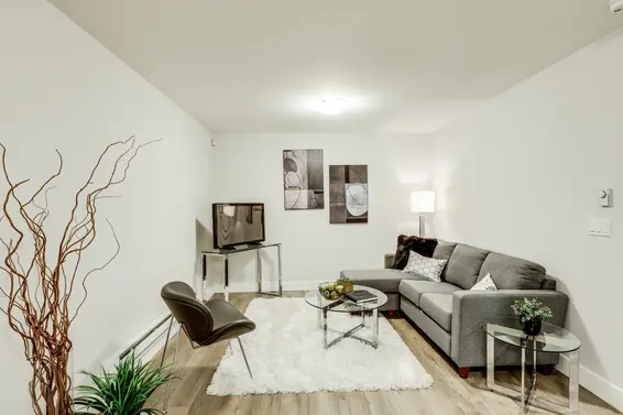 2 bedroom legal suite - 2698 Violet Street, North Vancouver  