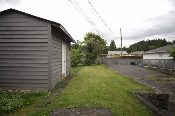 Backyard  