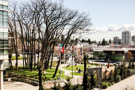 Ray Sergent Park  