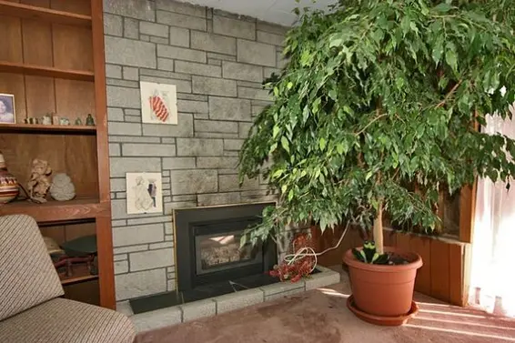 Rec Room  
