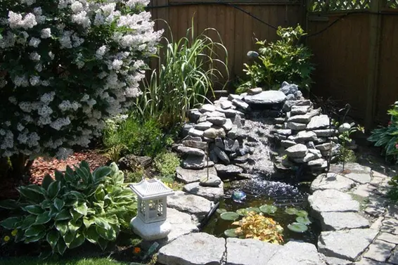 Pond  
