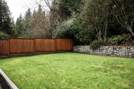Grassed backyard  