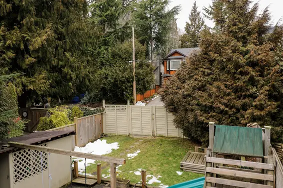 Backyard  