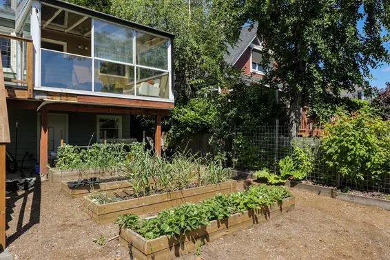 Backyard - 809 East 5th Street  