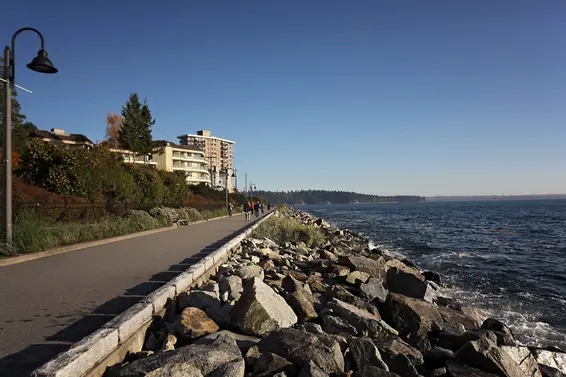 Seawall  