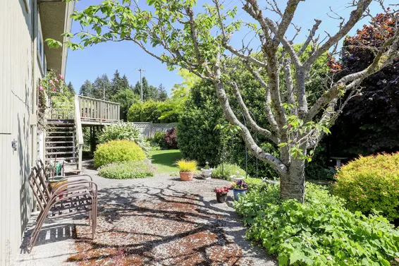 Backyard - 935 Beaconsfield Road, North Vancouver  