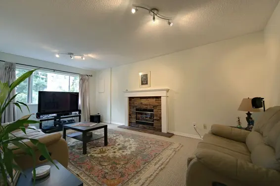 Suite Living Room  