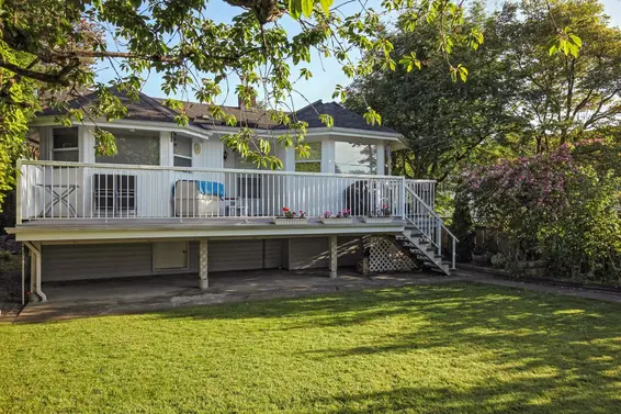 Backyard  