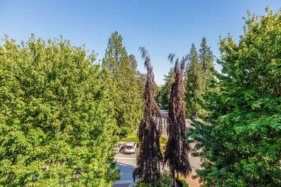 401 960 Lynn Valley Road, North Vancouver For Sale - image 19