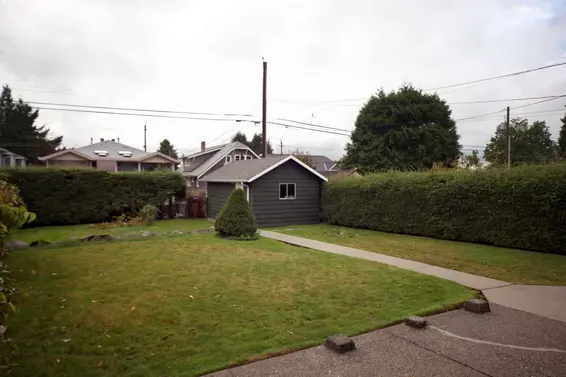 Backyard  