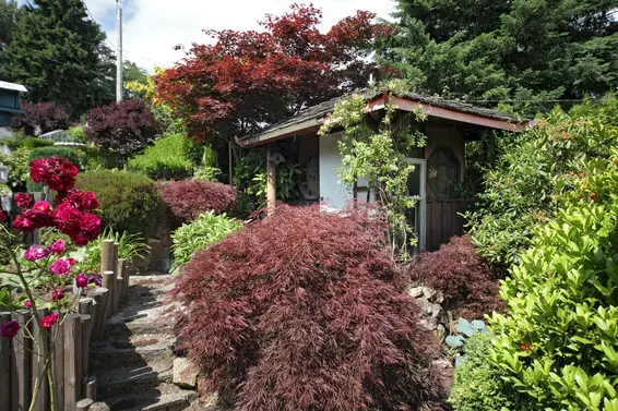 Garden  